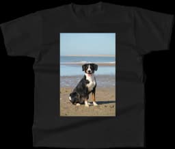 tshirt-c_w166_m_cwm9q5n_q2l