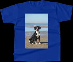 tshirt-_ftc_g_g_ra21zp_dc_v_d_m