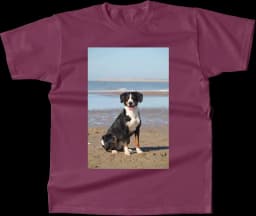 tshirt-rf8_r_o7i8_j_ve_v_f2s_a