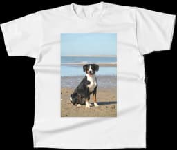 tshirt-bm0a_g_po_p_i_dp_b_i_t_i_y